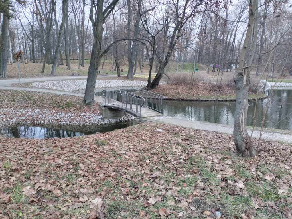 Stawy w Parku Miejskim im. Generała Władysława Andersa