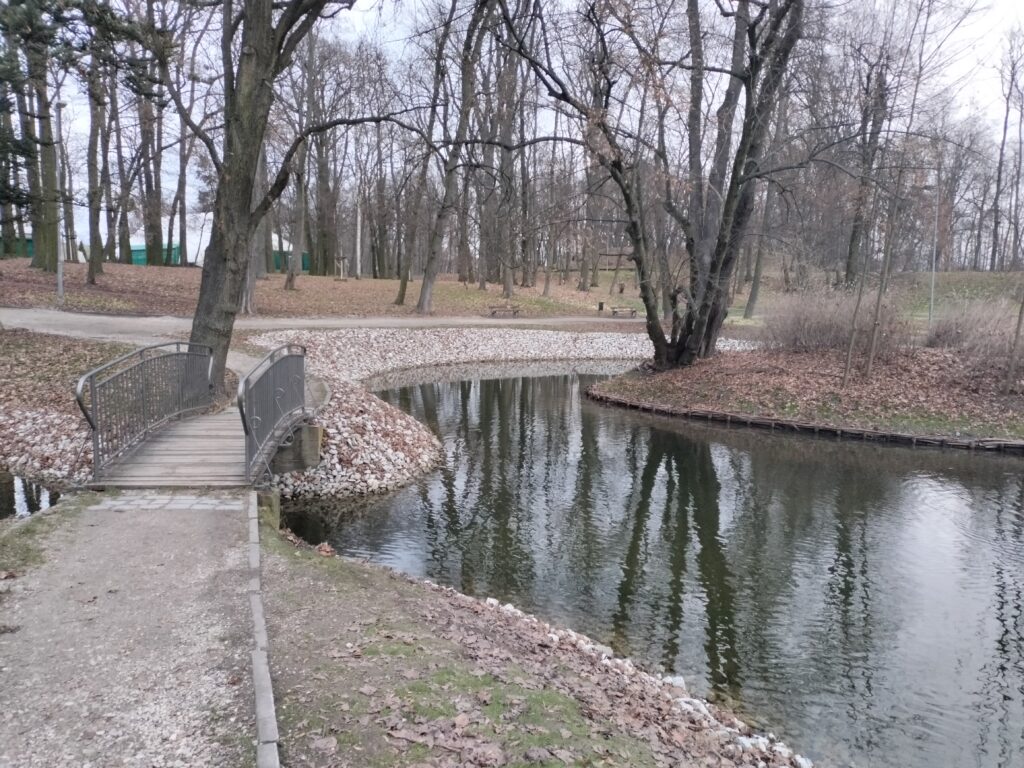 Staw w Parku im. Generała Władysława Andersa w Gnieźnie.