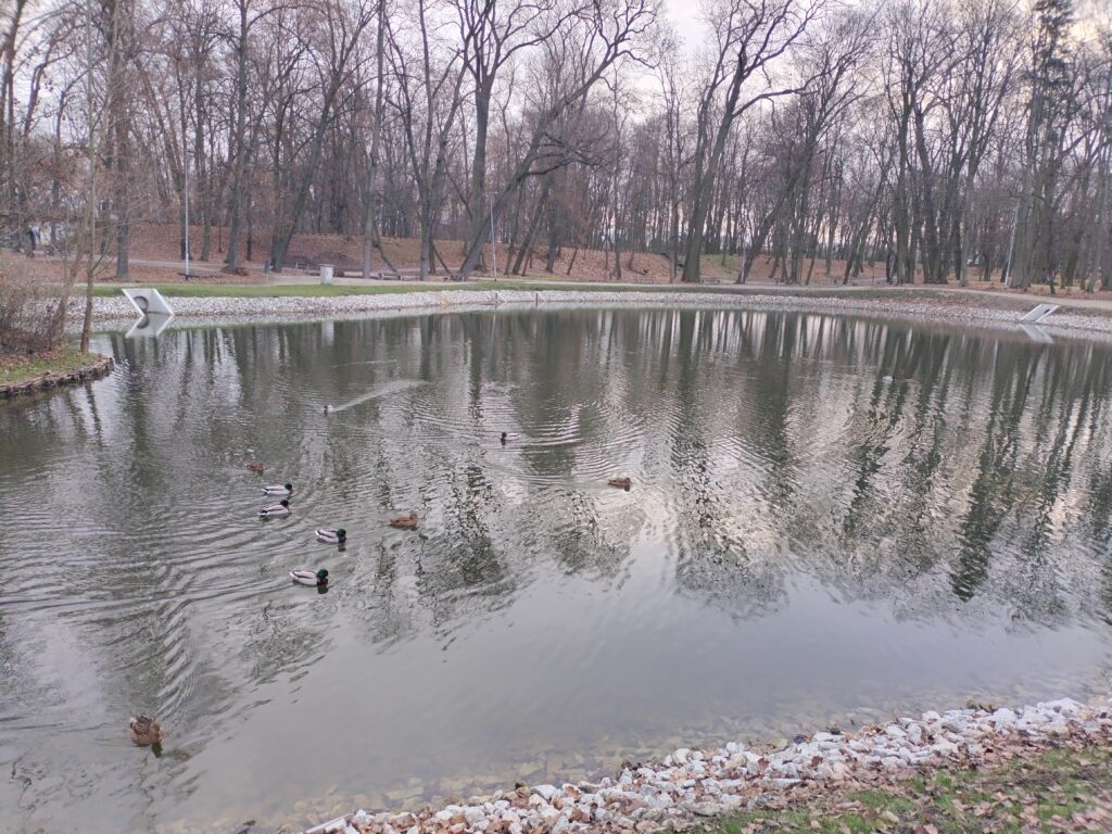 Stawy w Parku Miejskim im. Generała Władysława Andersa